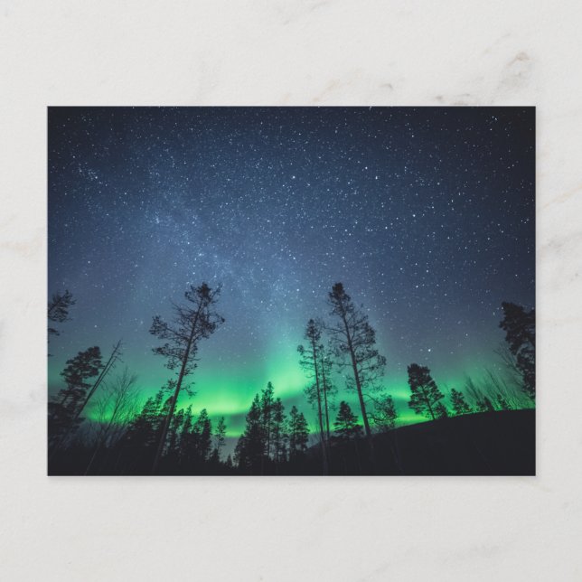Carte Postale Forêt d'Aurora (Devant)