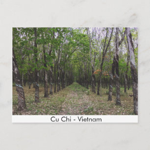 Carte Postale Forêt de caoutchouc - Cu Chi - Vietnam