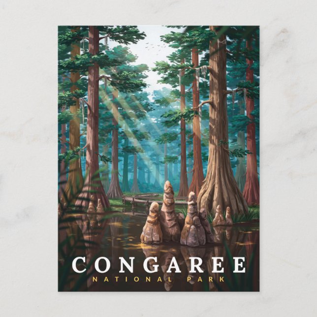 Carte Postale Forêt de cyprès du parc national de Congaree (Devant)