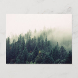Carte Postale Forêt de Foggy