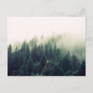 Carte Postale Forêt de Foggy