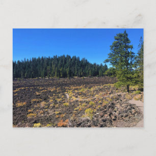 Carte Postale Forêt de lave, Oregon