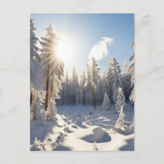 Carte Postale Forêt de neige