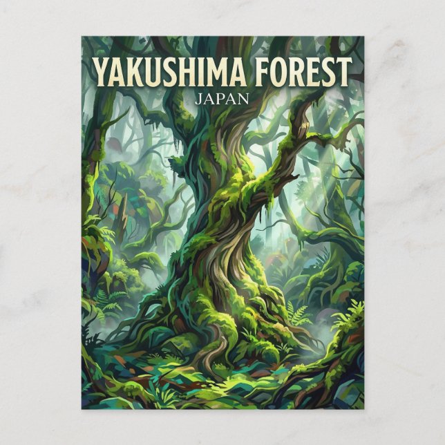 Carte Postale Forêt de Yakushima Japon (Devant)
