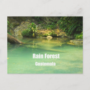 Carte Postale Forêt des pluies, Guatemala