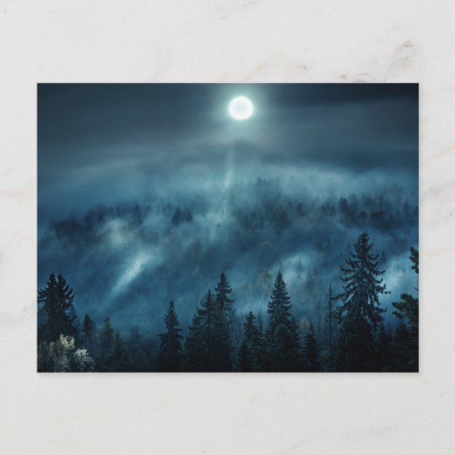 Carte Postale Forêt | Forêt Lune (Devant)