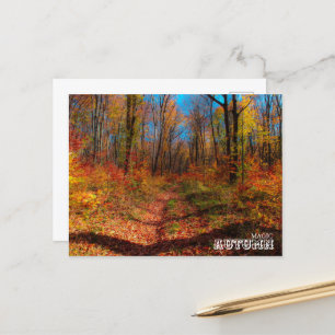 Carte Postale Forêt magique d'automne