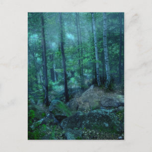 Carte Postale Forêt mystique