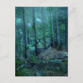 Carte Postale Forêt mystique