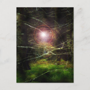 Carte Postale Forêt mystique