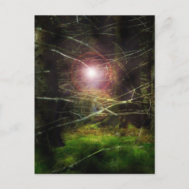 Carte Postale Forêt mystique (Devant)