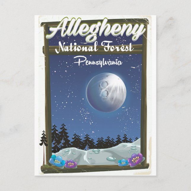 Carte Postale Forêt nationale d'Allegheny Pennsylvanie (Devant)