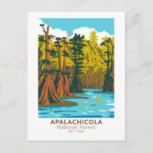Carte Postale Forêt nationale d'Apalachicola Cyprès chauve