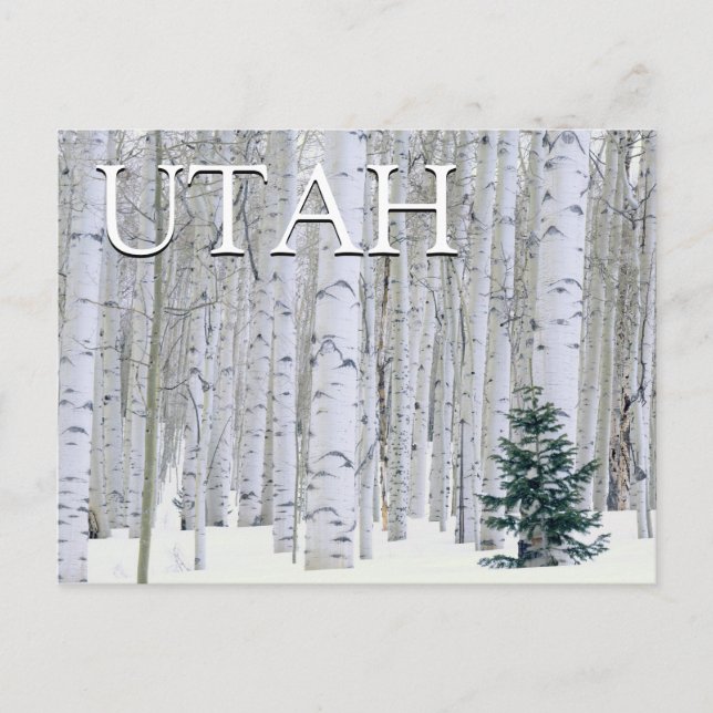 Carte Postale Forêt nationale de Manti-LaSal, Utah (Devant)