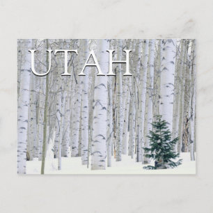 Carte Postale Forêt nationale de Manti-LaSal, Utah   Joyeux Anni
