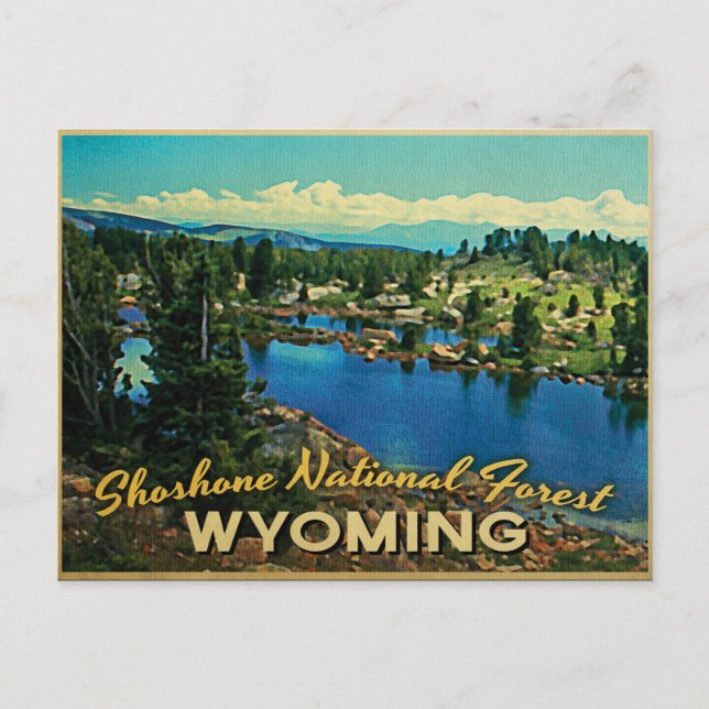 Carte Postale Forêt nationale de Shoshone Wyoming (Devant)