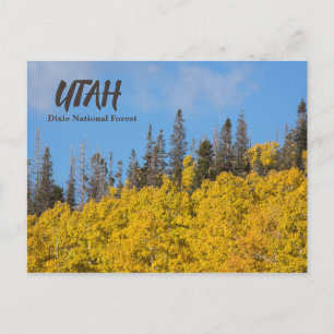 Carte Postale Forêt nationale de Utah Dixie