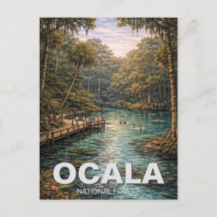Carte Postale Forêt nationale d'Ocala, Floride, voyage