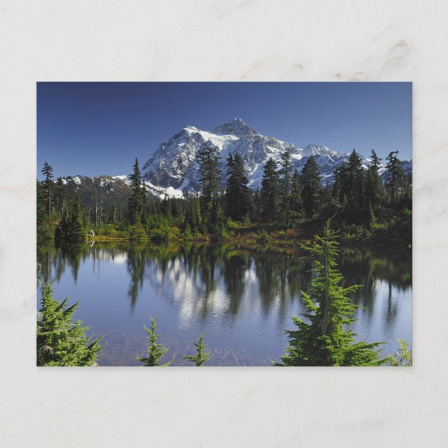 Carte Postale Forêt nationale du Mont Baker-Snoqualmie (Devant)