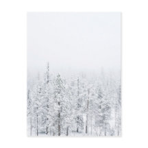 Forêt neigeuse