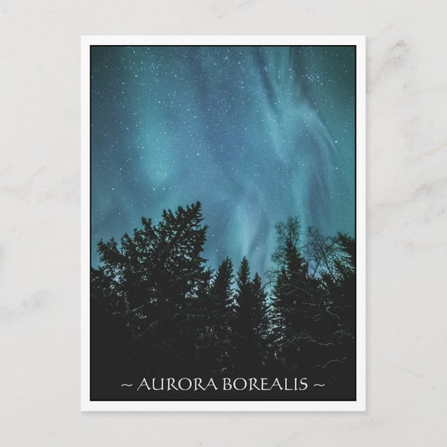 Carte Postale Forêt Northern Lights (Devant)
