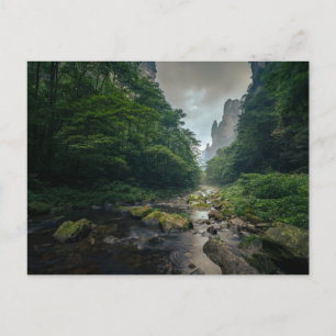 Carte Postale Forêt Parc forestier national de Zhangjiajie