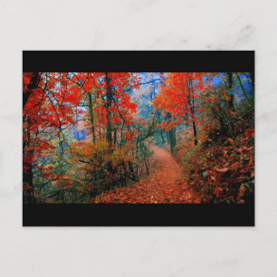 Carte Postale Forêt peinte Flamme d'automne Cadeaux d'aquarelle