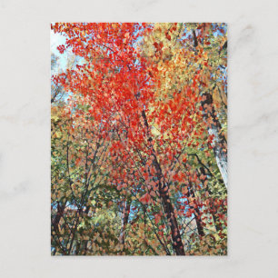 Carte Postale forêt pointillisme