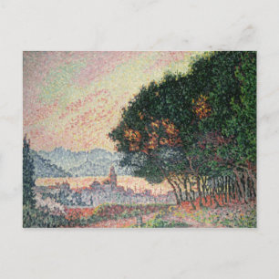 Carte Postale Forêt près de St. Tropez, 1902