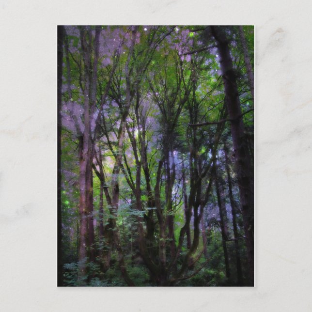 Carte Postale Forêt surnaturelle de Fairy Lights (Devant)