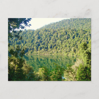 Carte Postale Forêt tempérée de Valdivian, Chili