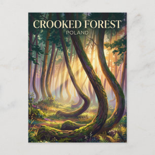 Carte Postale Forêt Tordue Pologne