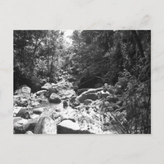 Carte Postale Forêt tropicale de ressortissant d'EL Yunque