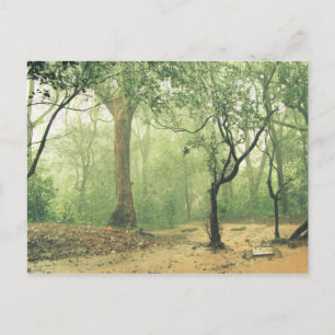 Carte Postale Forêt tropicale tropicale Ghats occidentaux Inde