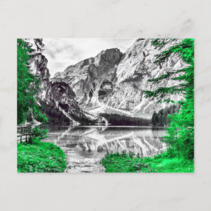 Carte Postale Forêt Verte Avec Paysage De Montagne Blanche Noire