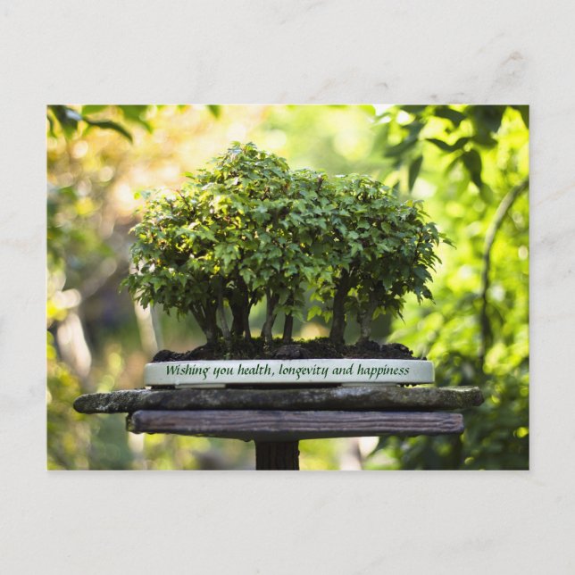 Carte Postale Forêt verte miniature Bonsai Pot Feuilles de piéde (Devant)