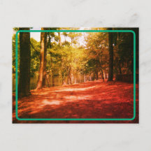 Carte postale Forêt vintage