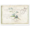 Carte Postale Forget Me Not French Script Bird