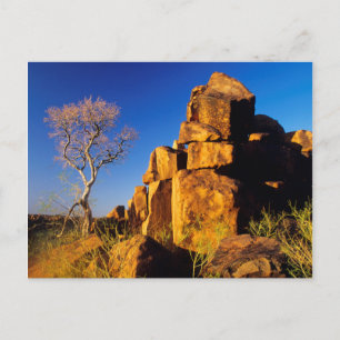 Carte Postale Formation rocheuse et arbre, terrain de jeu de géa