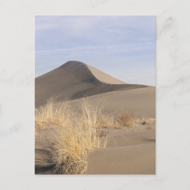 Carte Postale Formations de dunes de sable. Bruneau Dunes State  (Devant)