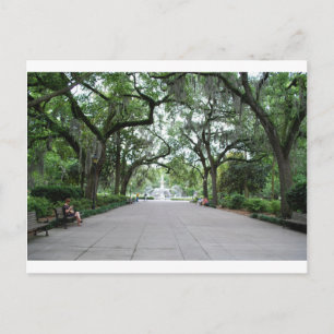 Carte Postale Forsyth Park à Savannah, GA