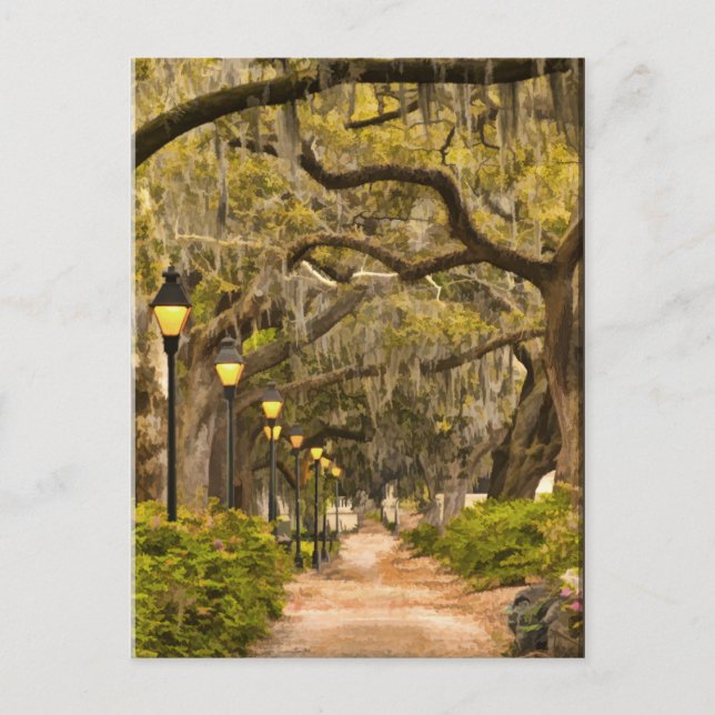 Carte Postale Forsyth Park - Photo, Savannah, Géorgie (GA) États (Devant)
