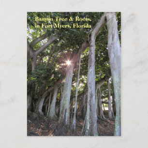 Carte postale Fort Myers Florida