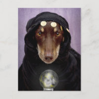 Fortune Teller
