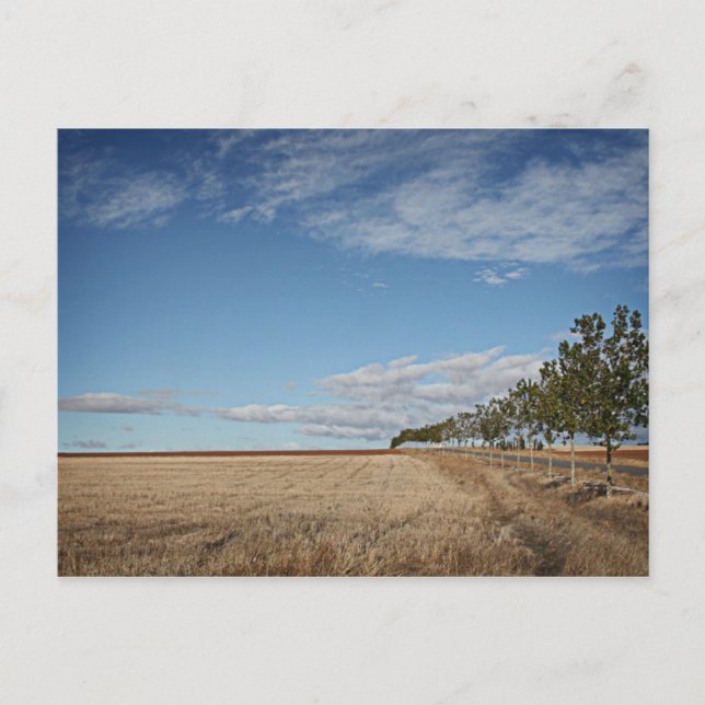 Carte Postale fotografias del Camino de santiago (Devant)