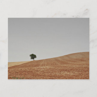 Carte Postale fotografias del Camino de santiago