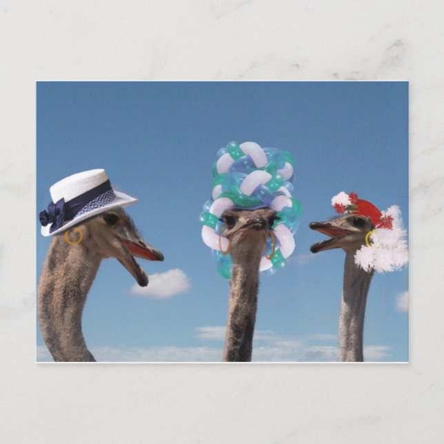 Carte Postale Fou Casquette Day aux courses (Devant)