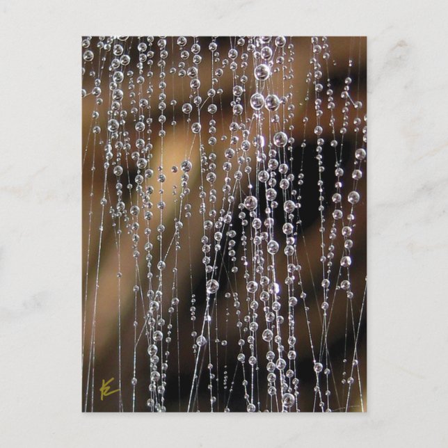Carte Postale Fouettant Dew Drop Rideau De Perle, Magique (Devant)