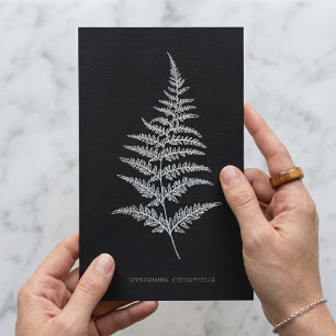 Carte Postale Fougère dorée, Gymnogramma Chrysophylla