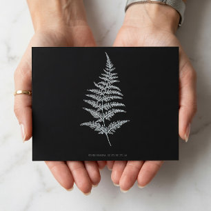 Carte Postale Fougère dorée, Gymnogramma Chrysophylla